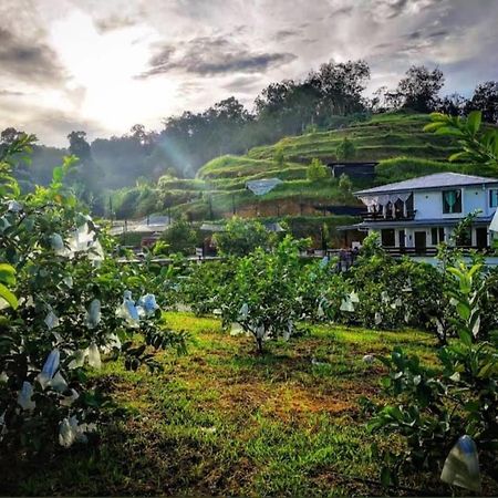 I Do Farmstay Bukit Mertajam Extérieur photo